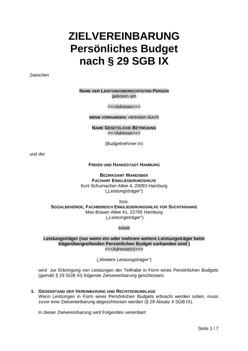 Thumbnail: 2022-08-26_2022-08-26_sgb09-029-persoenliches-budget-ah-anl01-zv-data